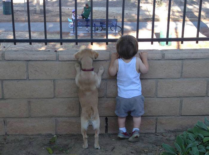 cuccioli curiosi