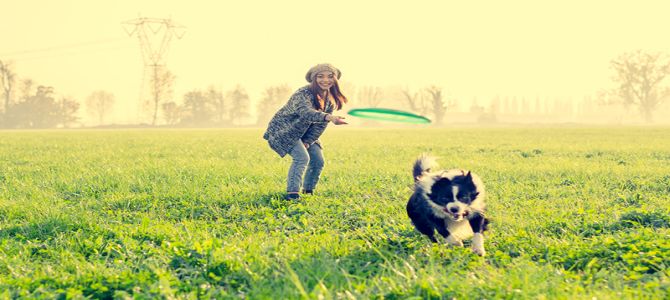 gioco cane