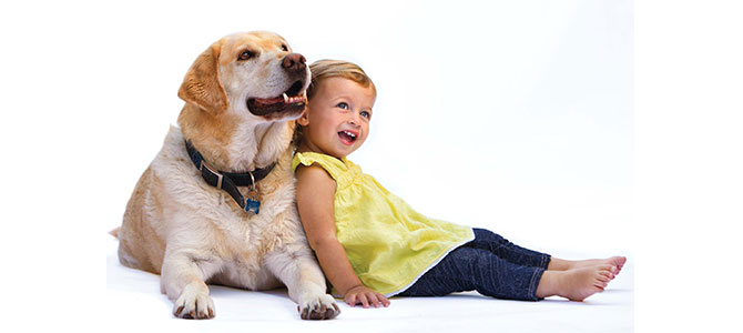 pet therapy