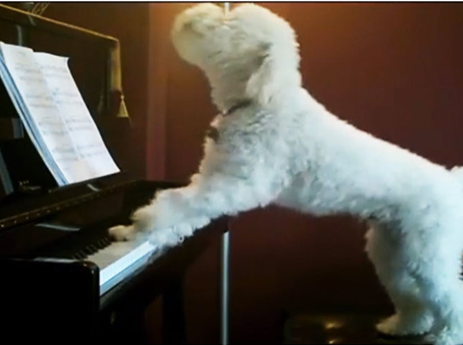 playing piano