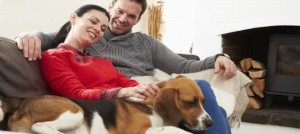 relazione con il cane