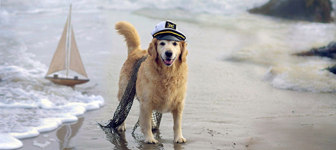 spiagge