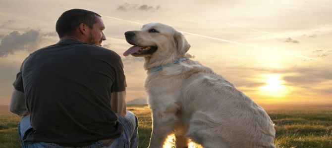 Anche i cani in visita nel carcere di Ancona