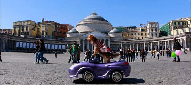 vacanza cane napoli