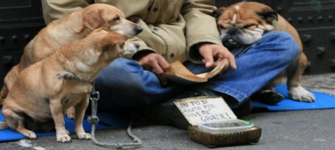 L’accattonaggio con i cani è un reato