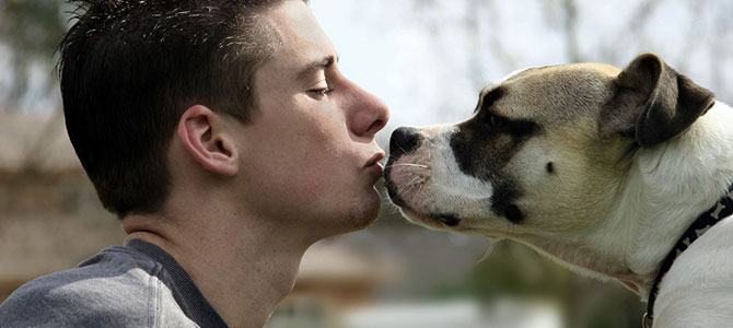 I baci al cane fanno bene alla salute del padrone