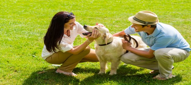 A Brugherio una giornata dedicata alla convivenza tra cane e padrone