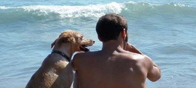 fido beach san mauro mare