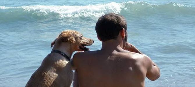 Tuffo in acqua? A San Mauro Mare il cane può!