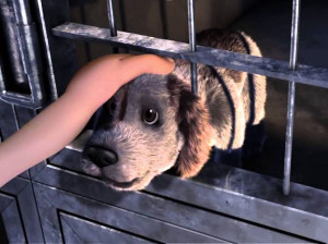 take me home adozione