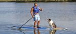 SUP w dog