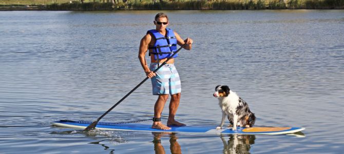 A scuola di surf…per cani!