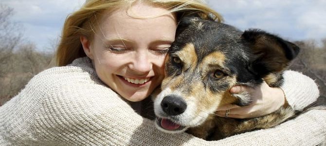 Bonus cane: i Comuni italiani si attivano