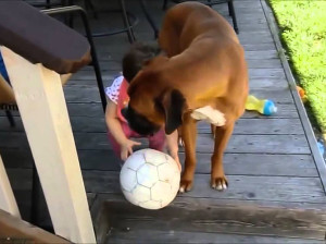 cani proteggono bambini