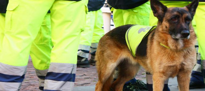 Cani da macerie, gli eroi del terremoto