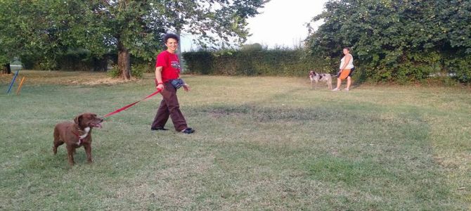educanilando