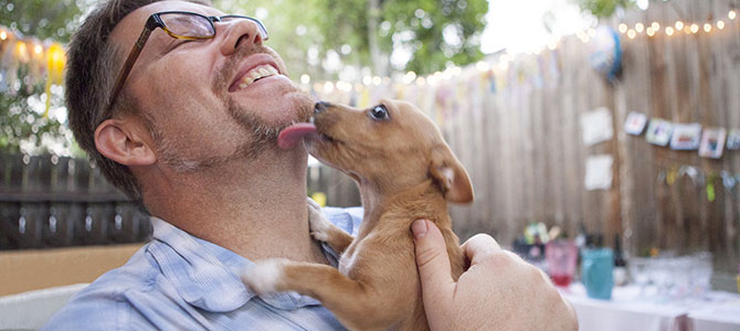 Relazione: conosci il tuo cane