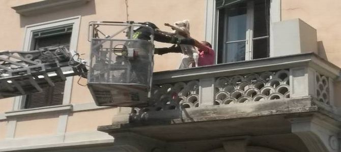 Pompieri salvano cane che stava cadendo dal balcone