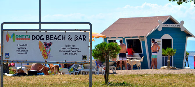 Croazia, a Crikvenica la Monty’s Dog Beach And Bar