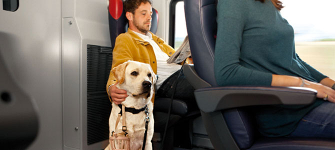 Trenitalia e il biglietto dog-friendly