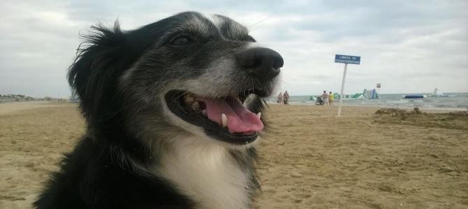 unica beach