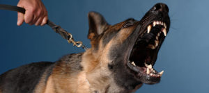 Tu non mi piaci: l’ aggressività sociale