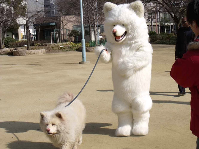 Cane e padrone? Uguali!