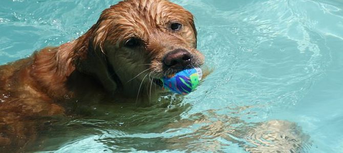 Un tuffo in piscina a due passi da Milano