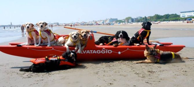 A Follonica parte il corso per cani bagnino