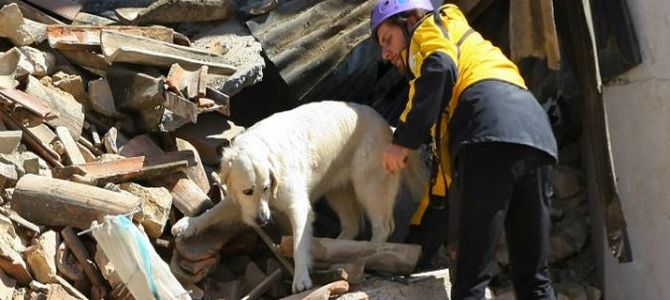 Al Dog Lover’s Day premiati i cani eroi di Amatrice