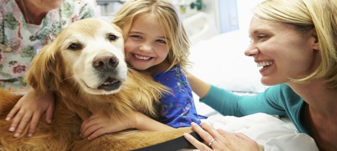 I cani donano sollievo ai bambini in ospedale
