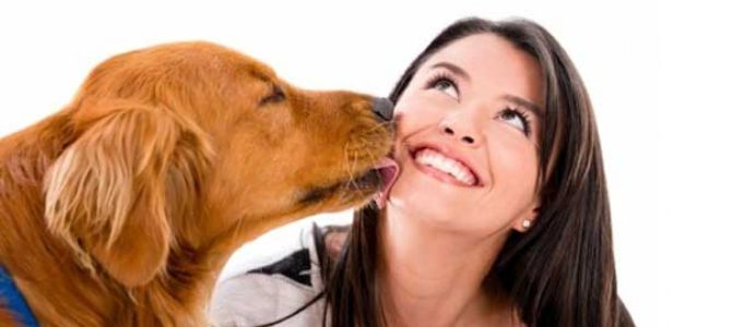 I padroni di cani? Dei gran romanticoni!