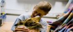 pet salute