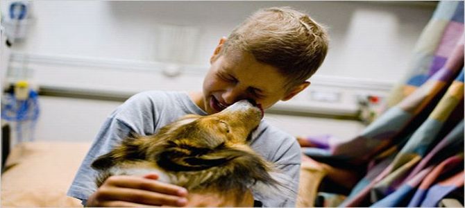 Cani eroi anche nelle corsie degli ospedali