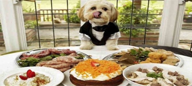 Al ristorante? Ci vado con Fido