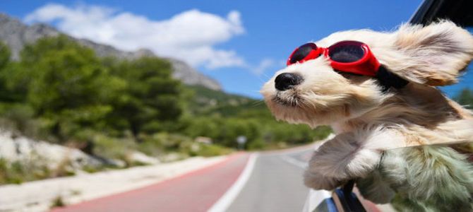 viaggio