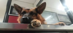 14813189 10207654060175733 1118881923 o