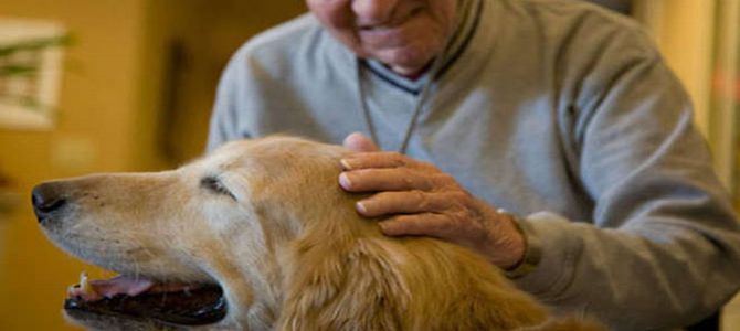 Geni del cane simili a quelli dell’autismo