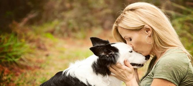 Via libera ai baci del cane