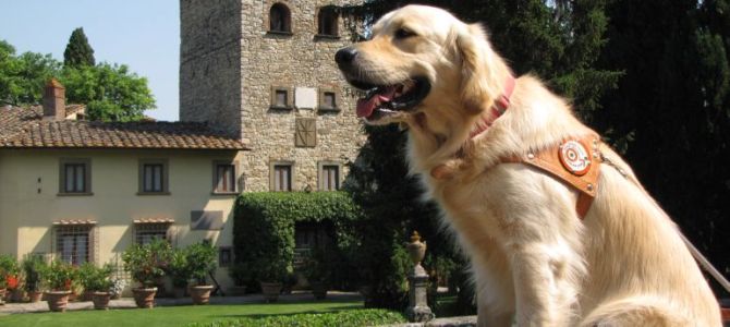 Open day alla scuola nazionale cani guida