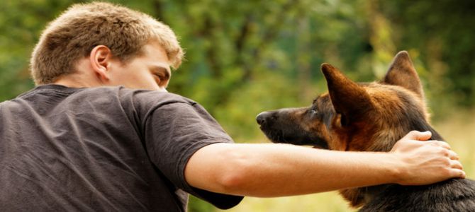 Come avviene la comunicazione tra cane e padrone