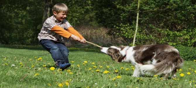 Incontro dei bambini con gli esperti zoofili