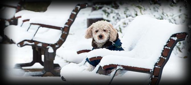 Inverno, non mi fai paura!