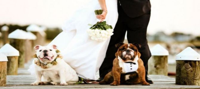 matrimonio