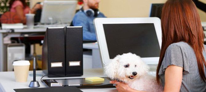 Una pet-izione per integrare Fido in società