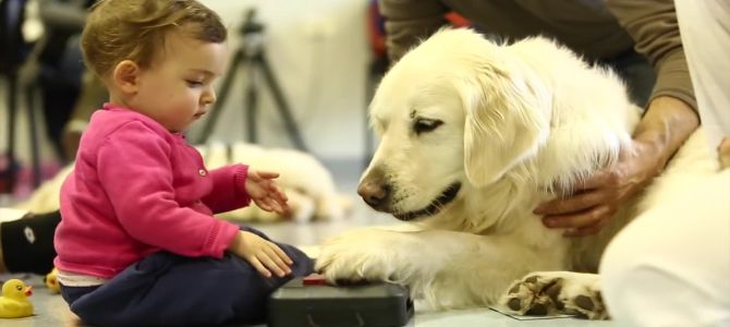 Pet therapy anche in Sardegna