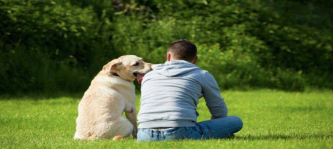 Per il cane, la comunicazione è non verbale