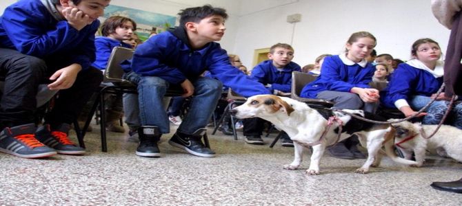 I cani disabili entrano in classe