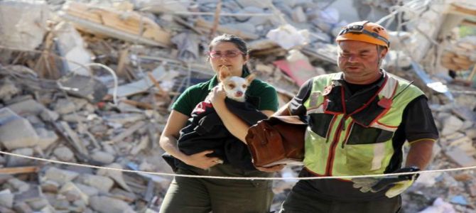 Terremoto: cani esclusi dai centri d’accoglienza