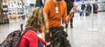 Pet Therapy